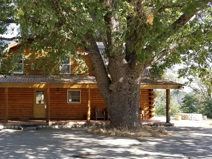 Grouse Valley — view of the exterior of the Lakeside Cabin with large oak tree
