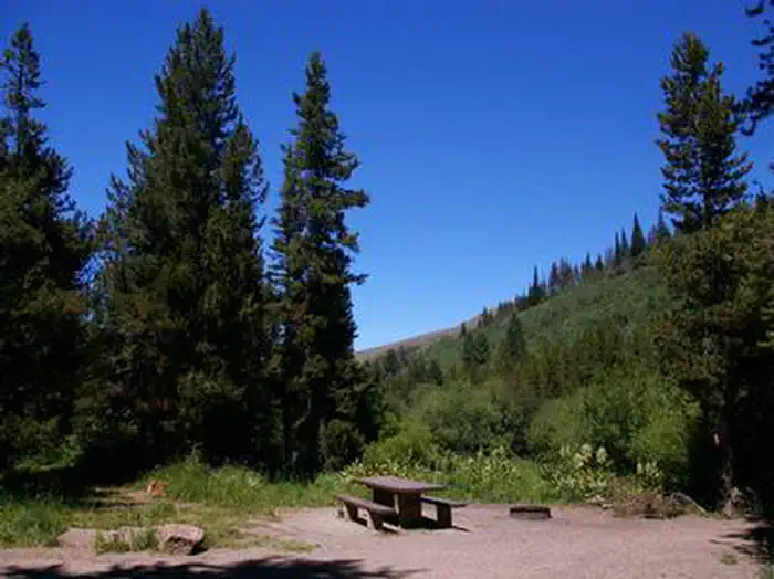 Upper Penstemon — LOWER PENSTEMON CAMPSITE 2