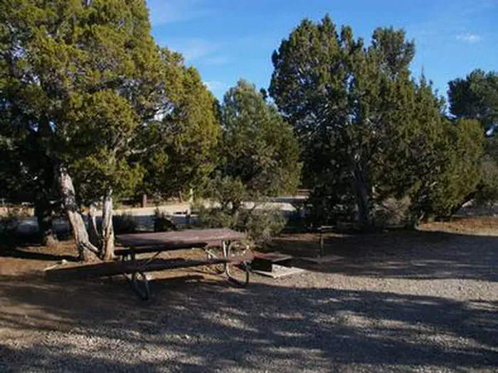 Ward Mtn. Campground (murray Summit) — WARD MTN. CAMPGROUND (MURRAY SUMMIT)