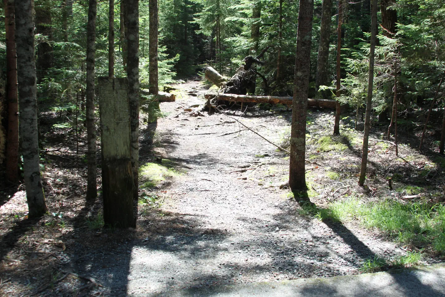 Blackwoods Campground — path to Cadillac South Ridge Trailhead (from upper A-Loop)
