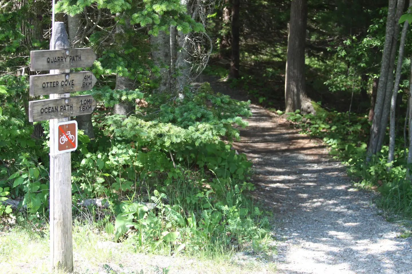 Blackwoods Campground — Quarry Path Trailhead near Ranger Station