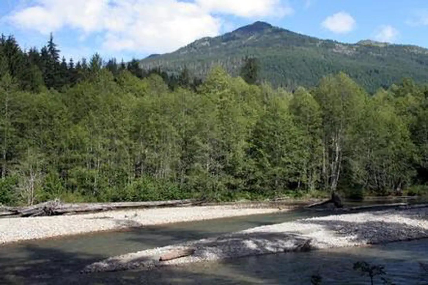 Silver Fir Campground — Silver Fir Campground