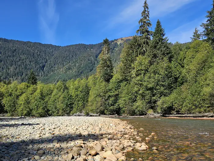 Silver Fir Campground — Silver Fir CG