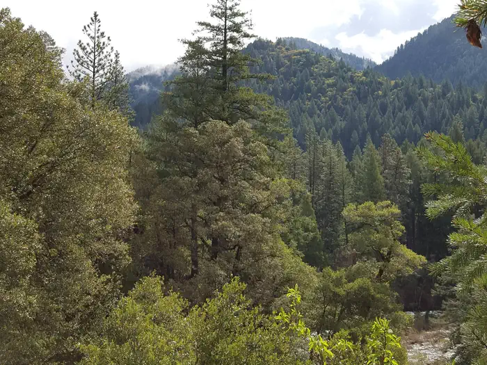 Ramshorn — North Fork Yuba River Canyon
