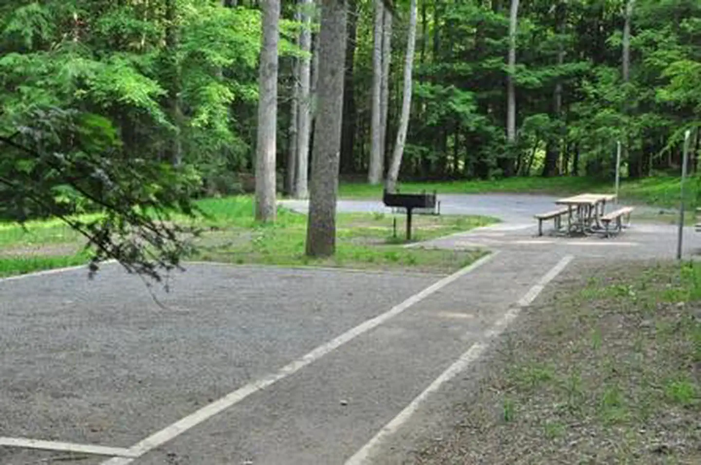 Elkmont Group Campground