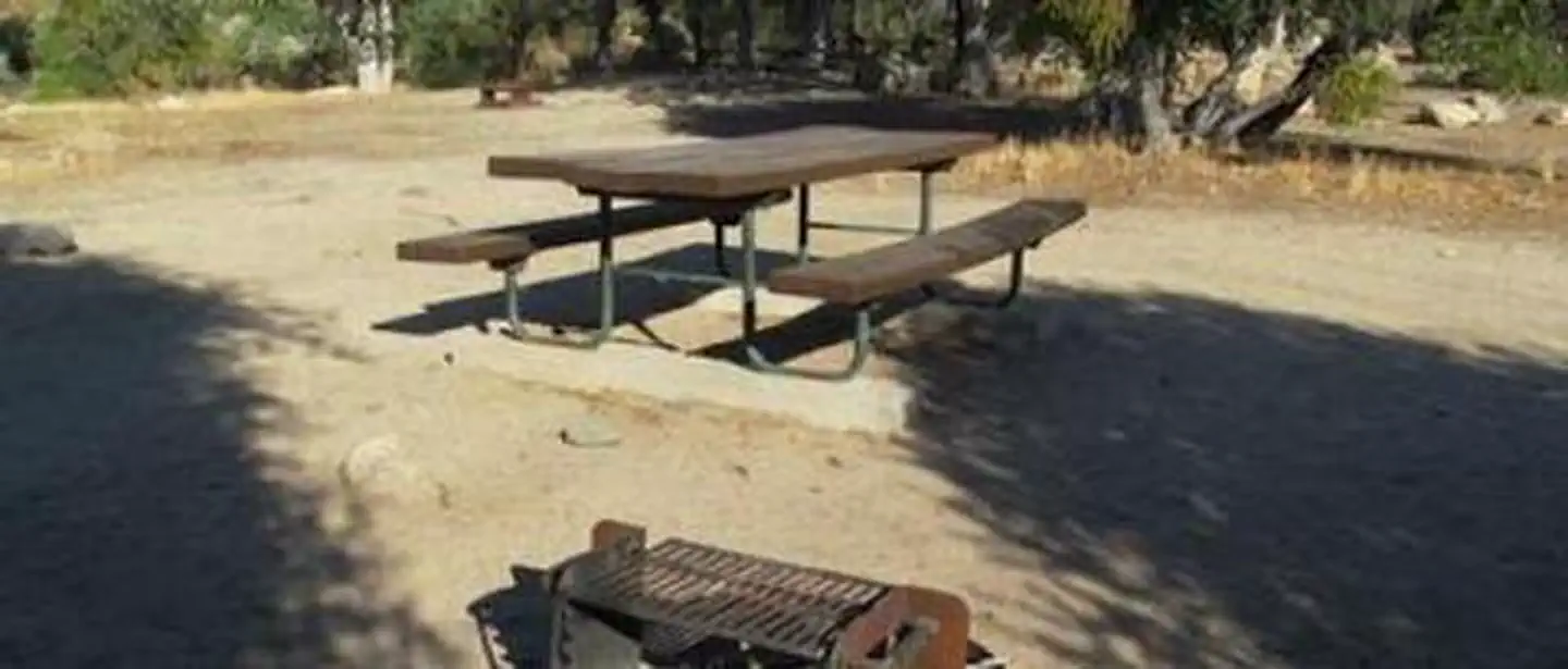 Live Oak North Campground — LIVE OAK SOUTH