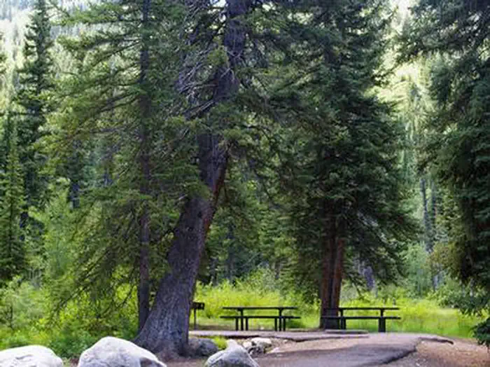 Spruces - Big Cottonwood — Spruces - Big Cottonwood