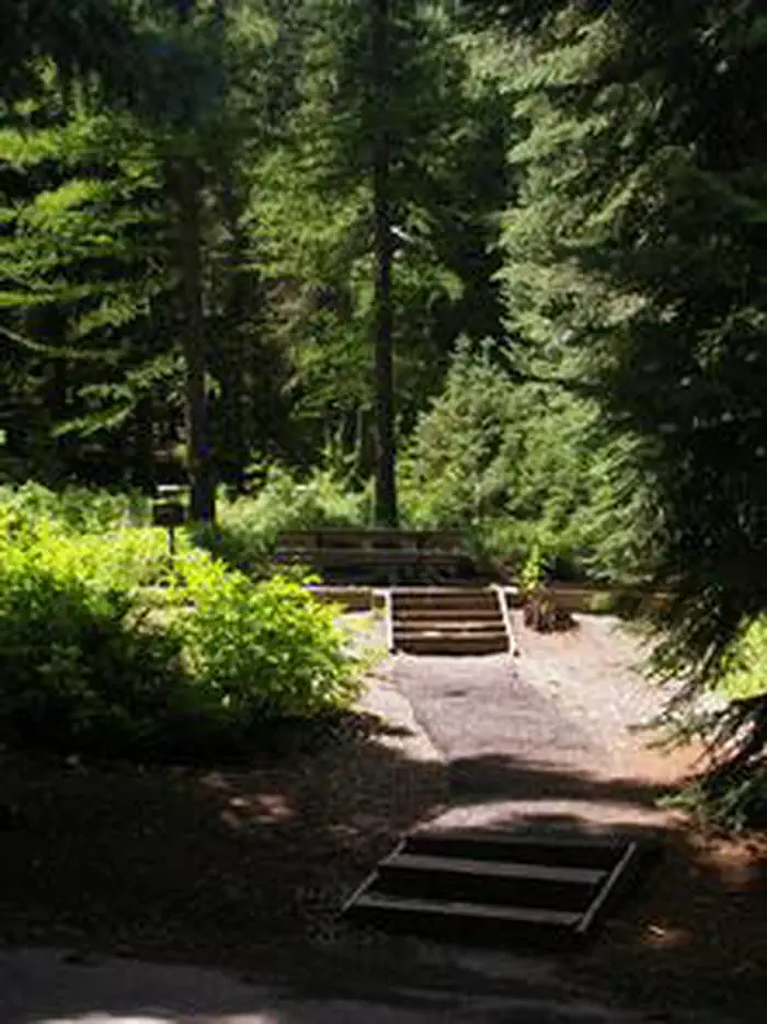 Spruces - Big Cottonwood — Spruces - Big Cottonwood