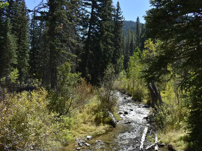 Spruces - Big Cottonwood — Spruces Campground