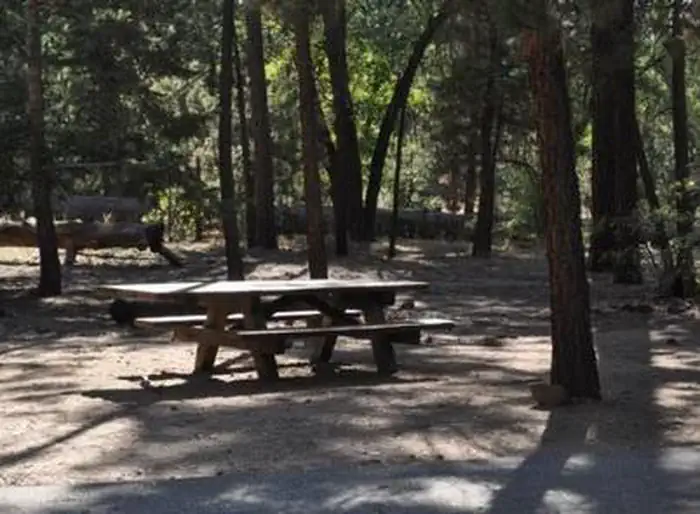 San Gorgonio Campground — Shade & Picnic Tables of the San Gorgonio Campground......