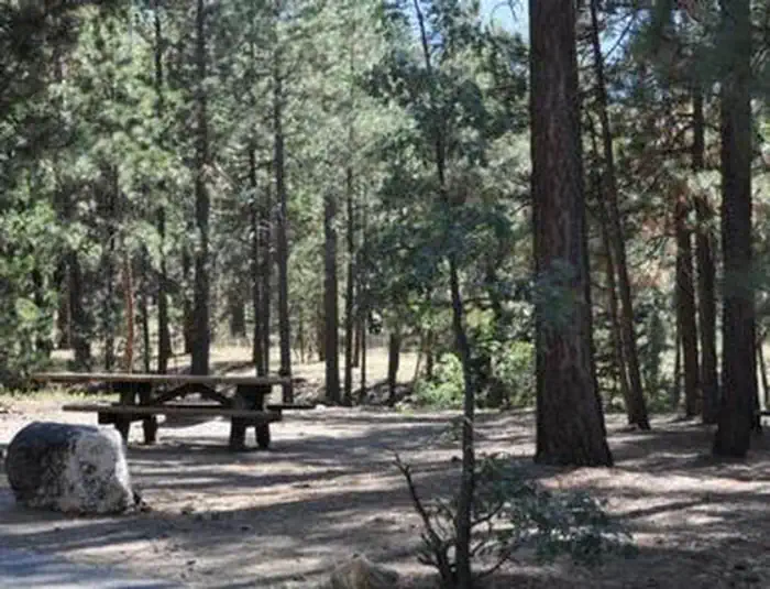 San Gorgonio Campground