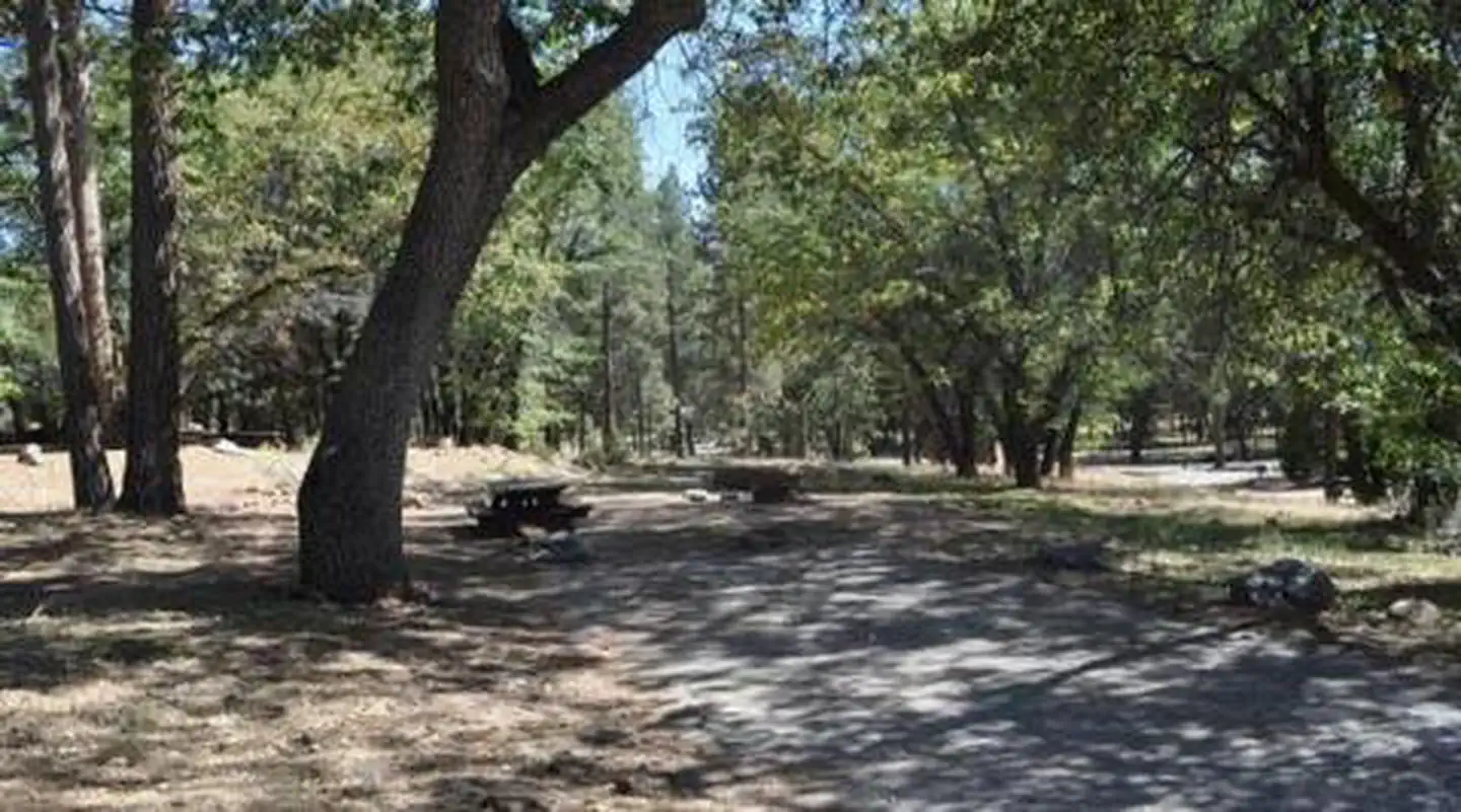San Gorgonio Campground — Shade & Picnic Tables of the San Gorgonio Campground...