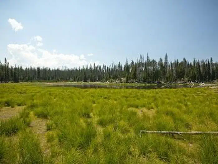 Little Fawn Campground — LITTLE FAWN GROUP CAMP
