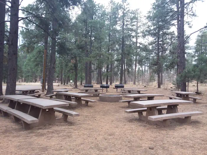 Playground Group β Playground Campground Group Site