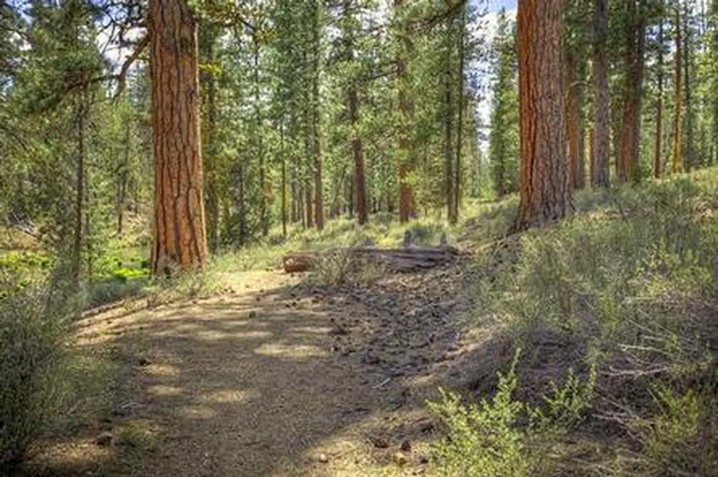 Fall River Campground — FALL RIVER CAMPGROUND