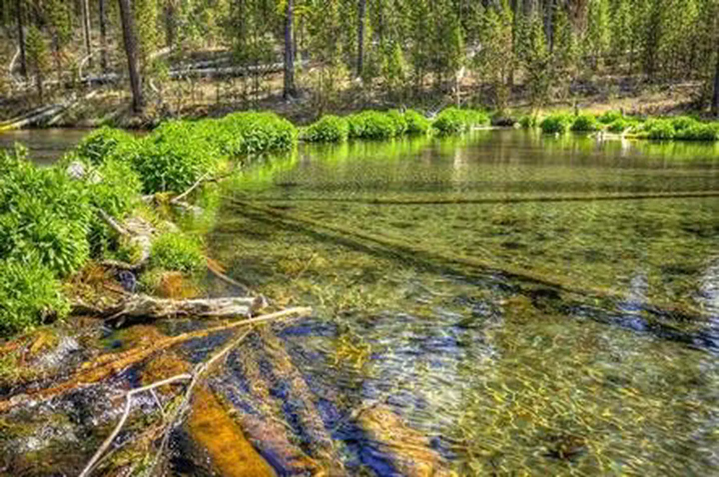 Fall River Campground — FALL RIVER CAMPGROUND