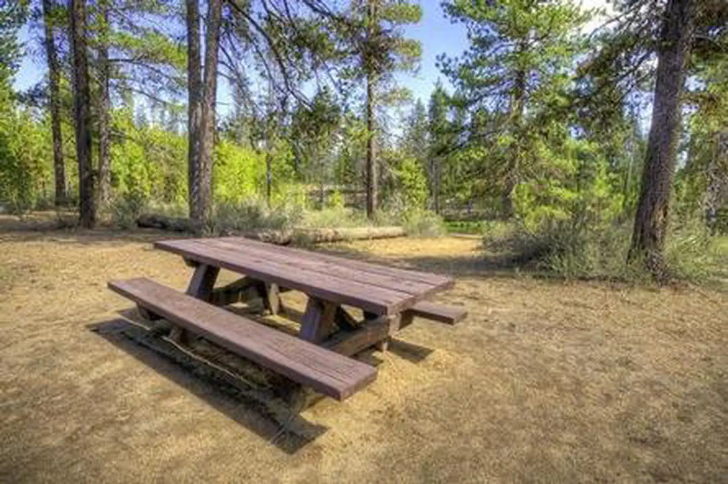 Fall River Campground — FALL RIVER CAMPGROUND
