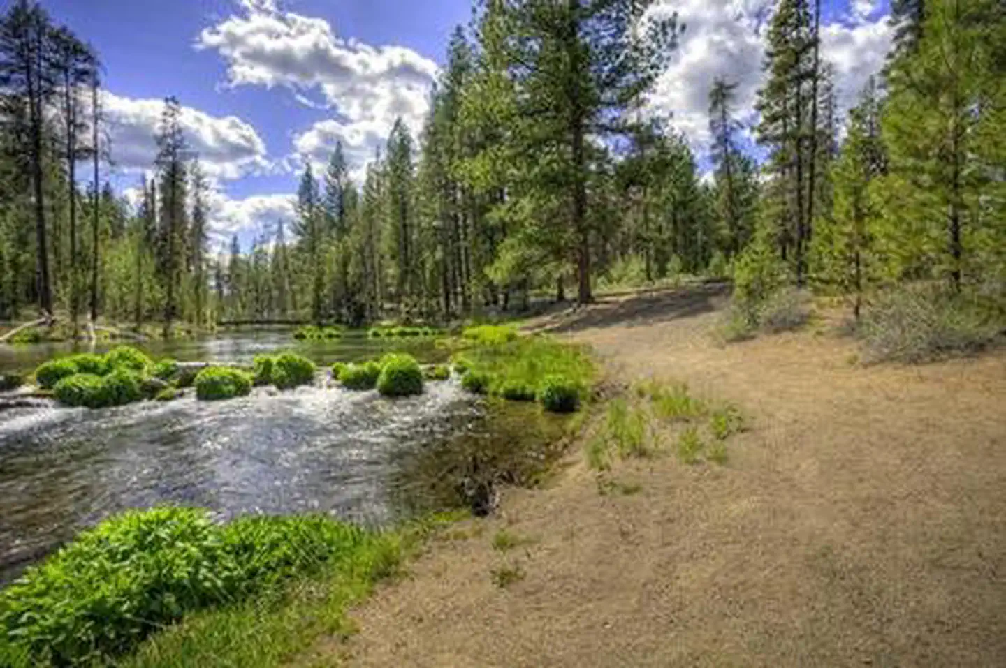 Fall River Campground — FALL RIVER CAMPGROUND