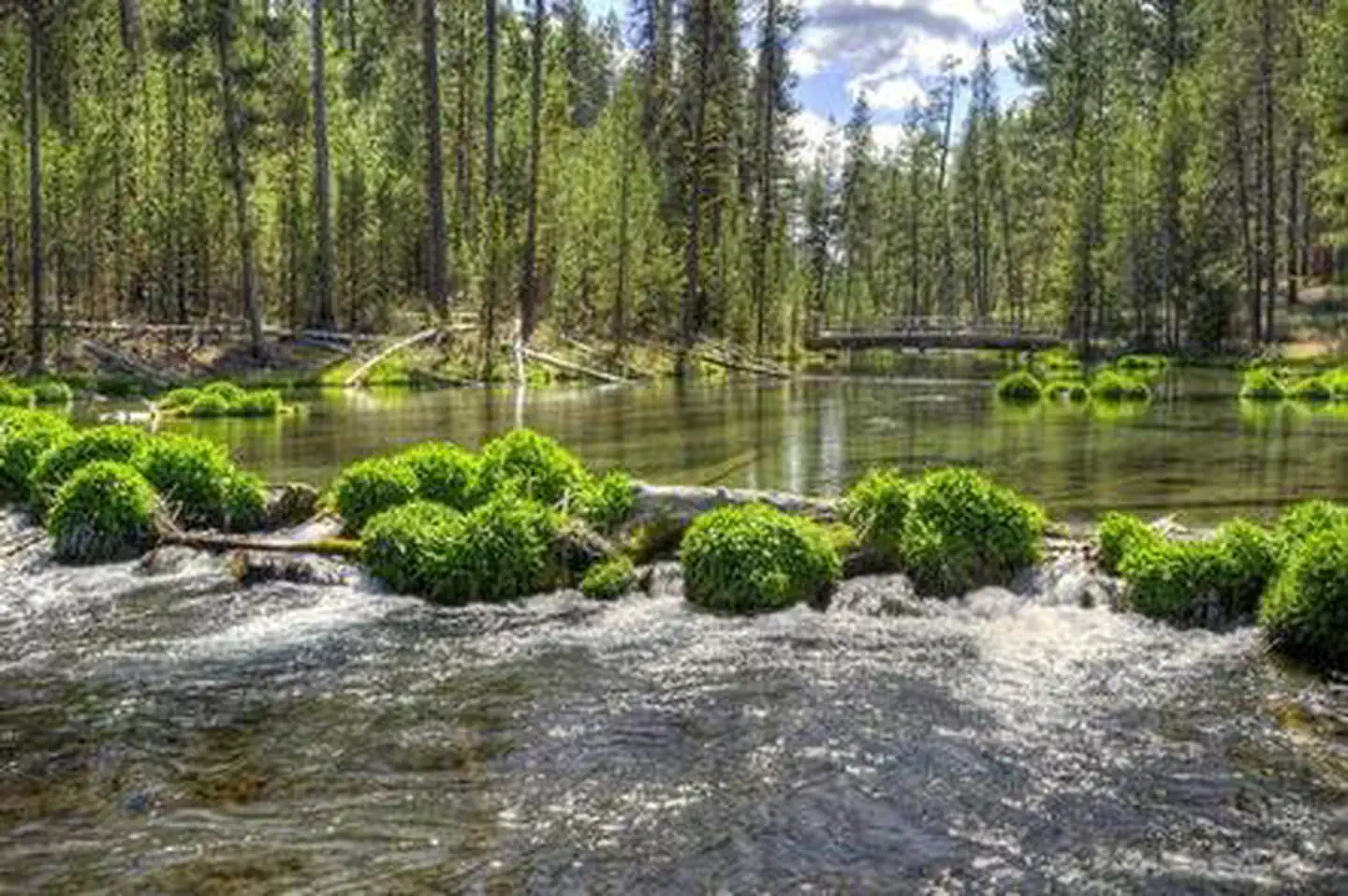 Fall River Campground