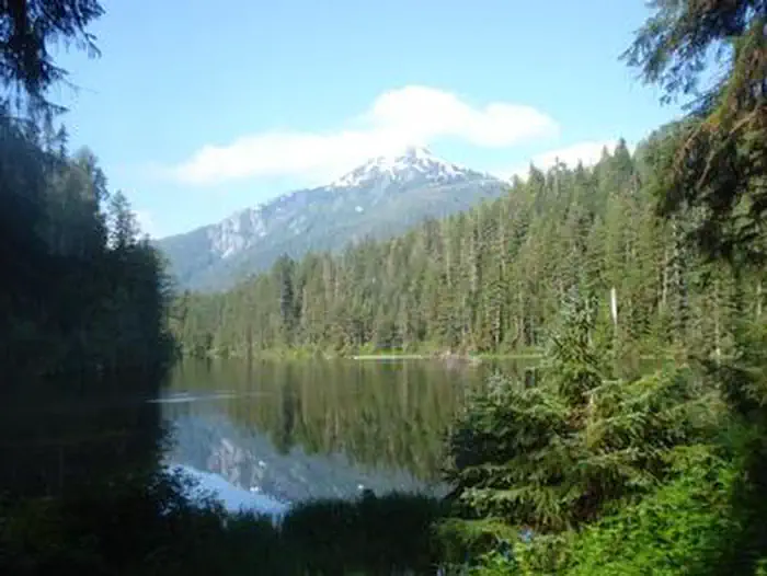 Wilson Narrows Cabin — WILSON NARROWS CABIN View