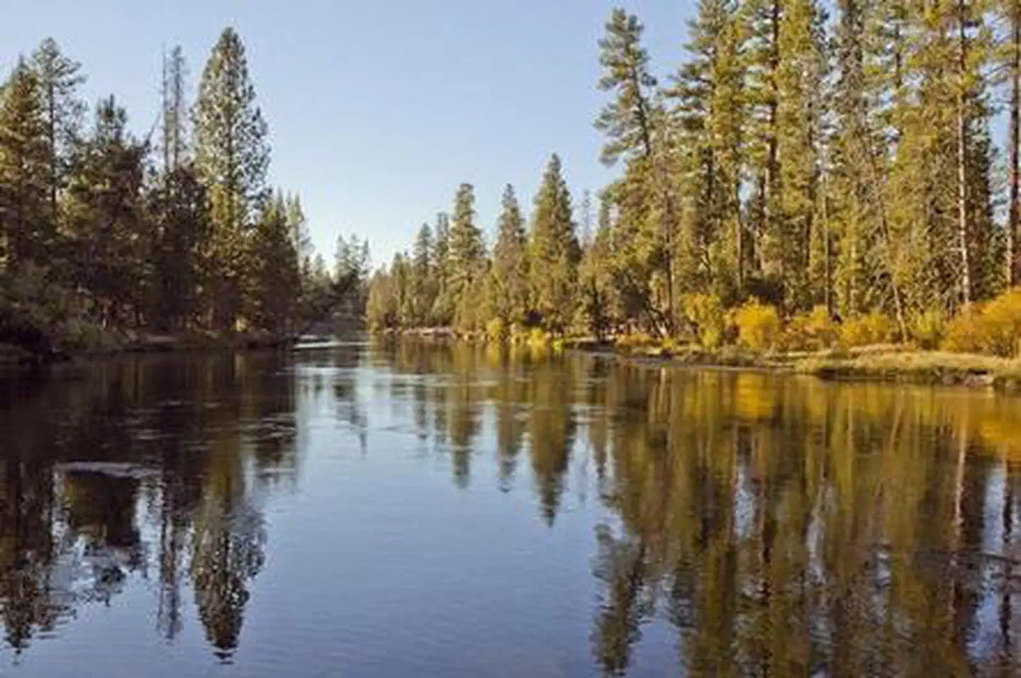 Bull Bend Campground — BULL BEND CAMPGROUND