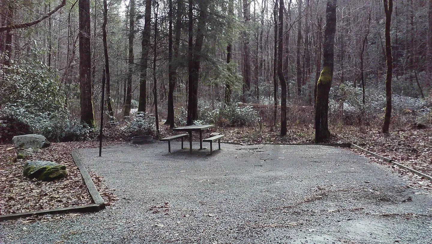 Tate Branch Campground — Campsite #7