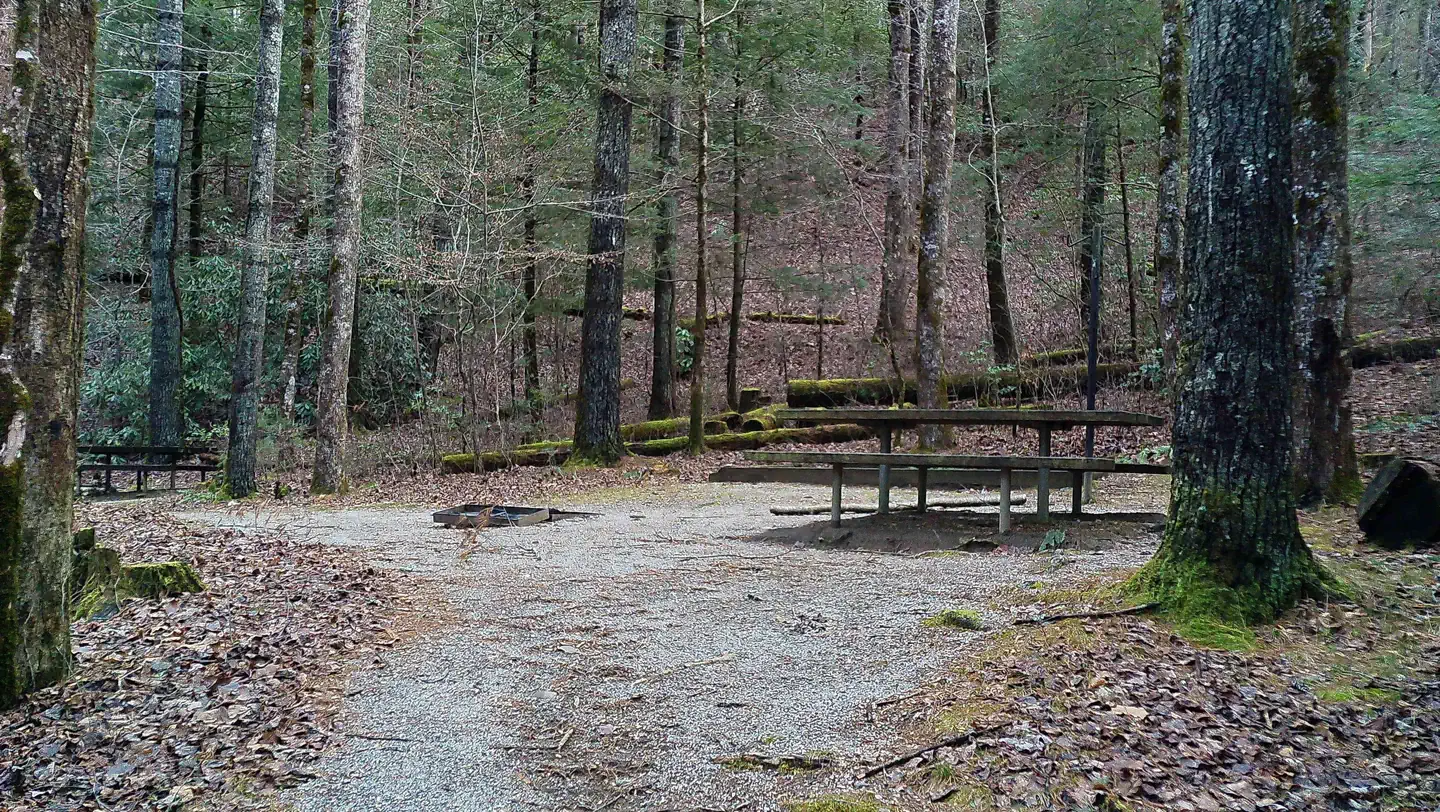 Tate Branch Campground — Campsite #15