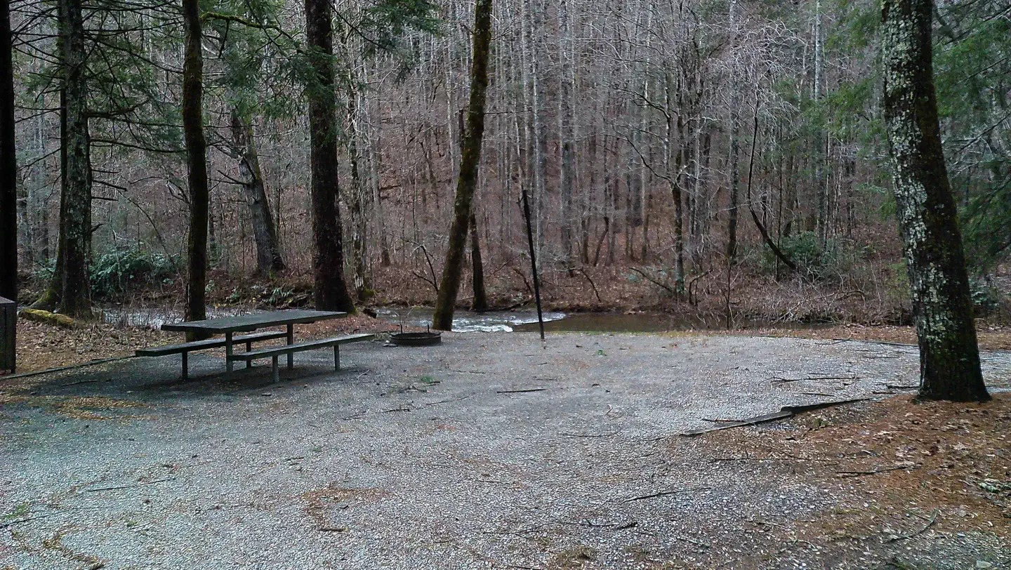 Tate Branch Campground — Campsite 3