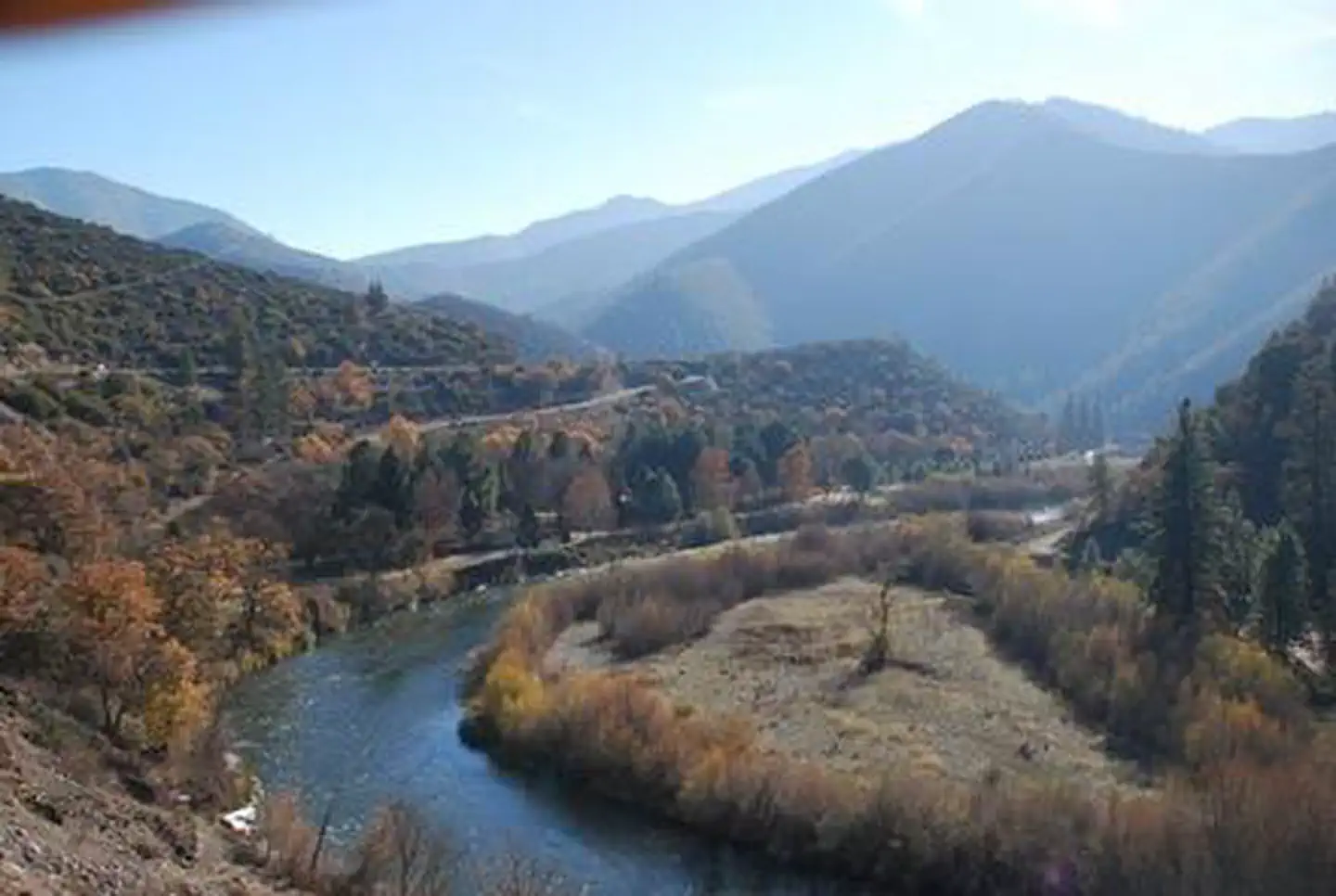 Tree Of Heaven Campground — TREE OF HEAVEN CAMPGROUND