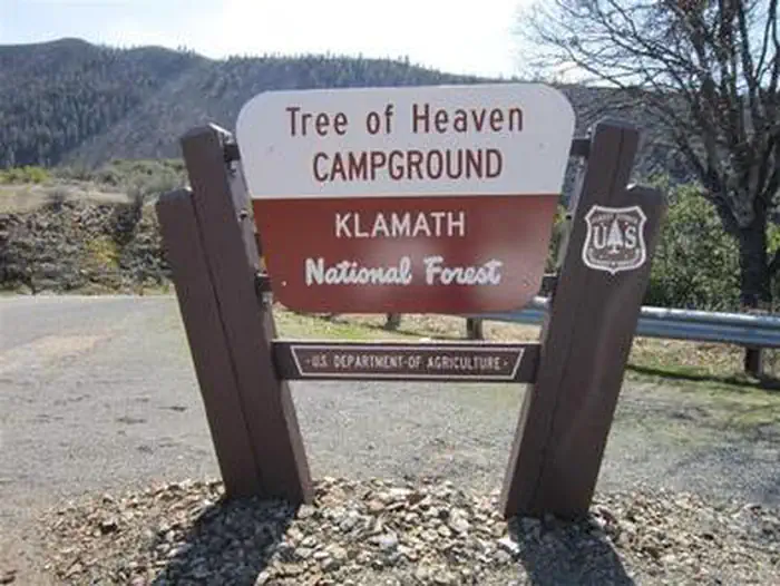Tree Of Heaven Campground — TREE OF HEAVEN CAMPGROUND