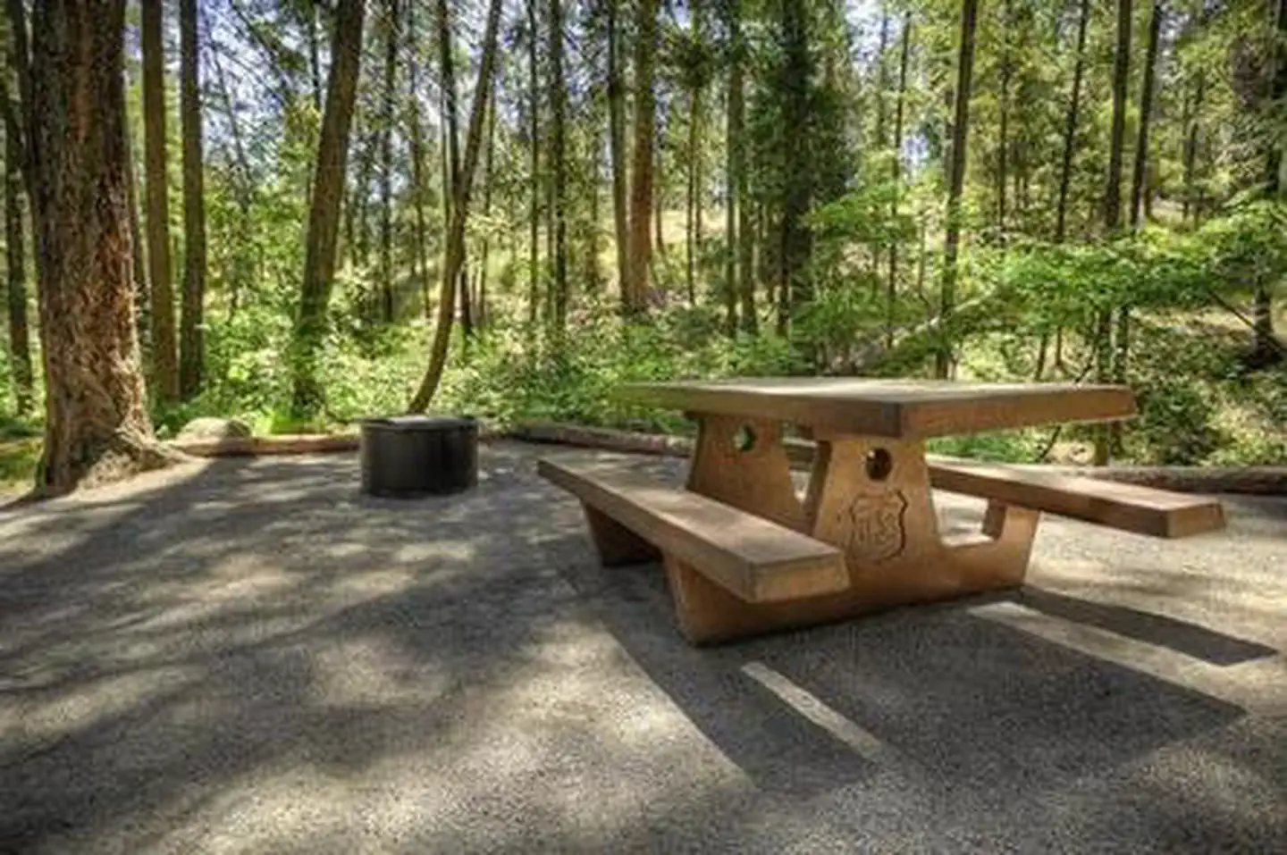 Perry South Campground — Picnic table and fire pit in a campsite
