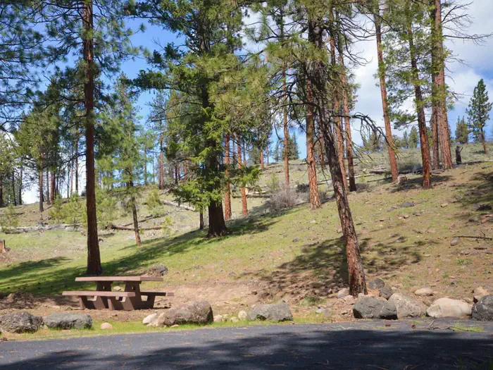 Perry South Campground — Campsite at Perry South