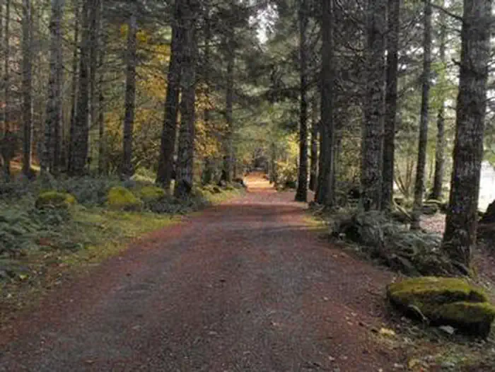 Sunnyside Campground — SUNNYSIDE CAMPGROUND