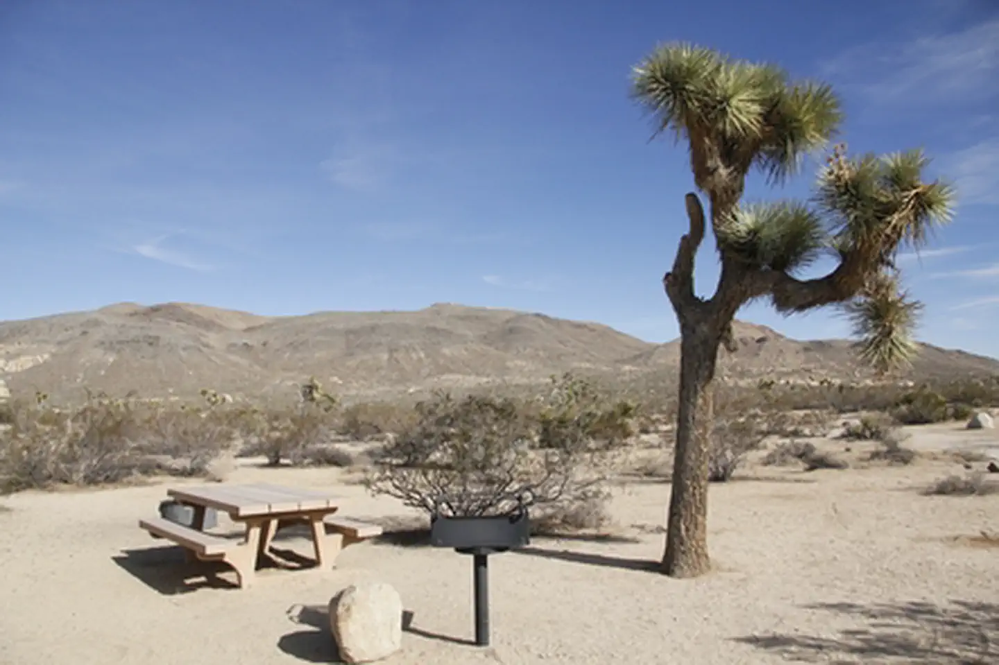 Belle Campground — Belle Campsite
