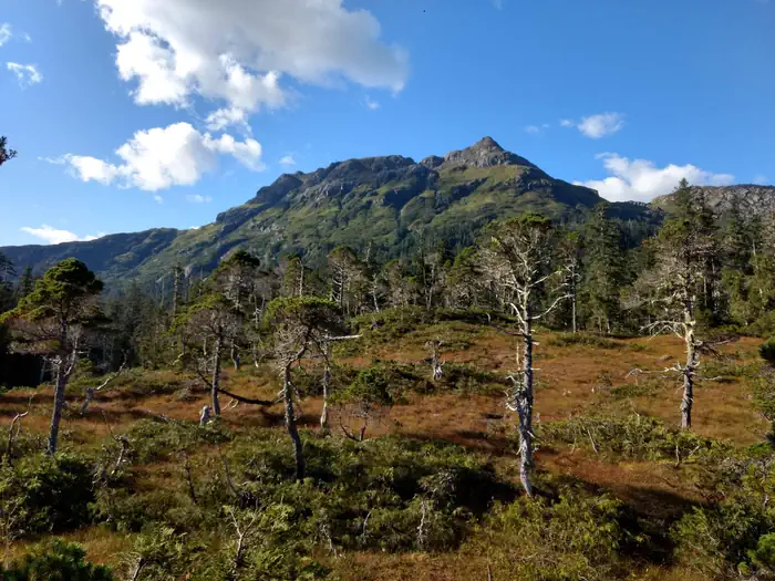 Goulding Lake Cabin — Goulding Lake Area