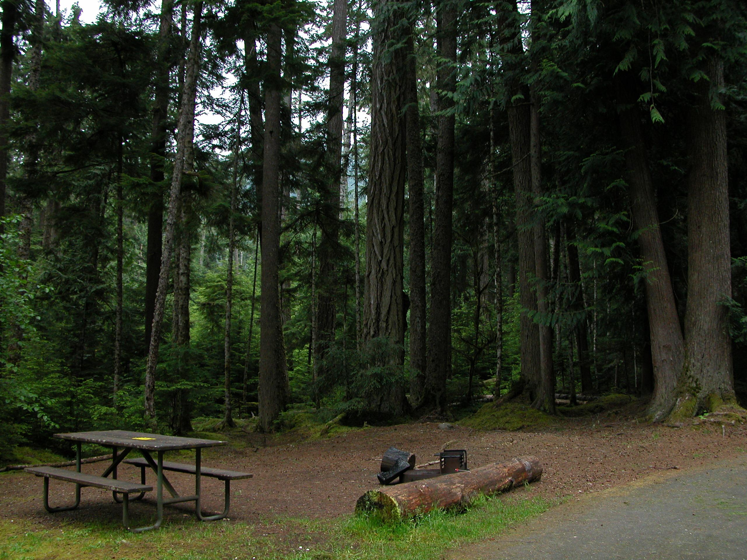 Heart O' the Hills Campground