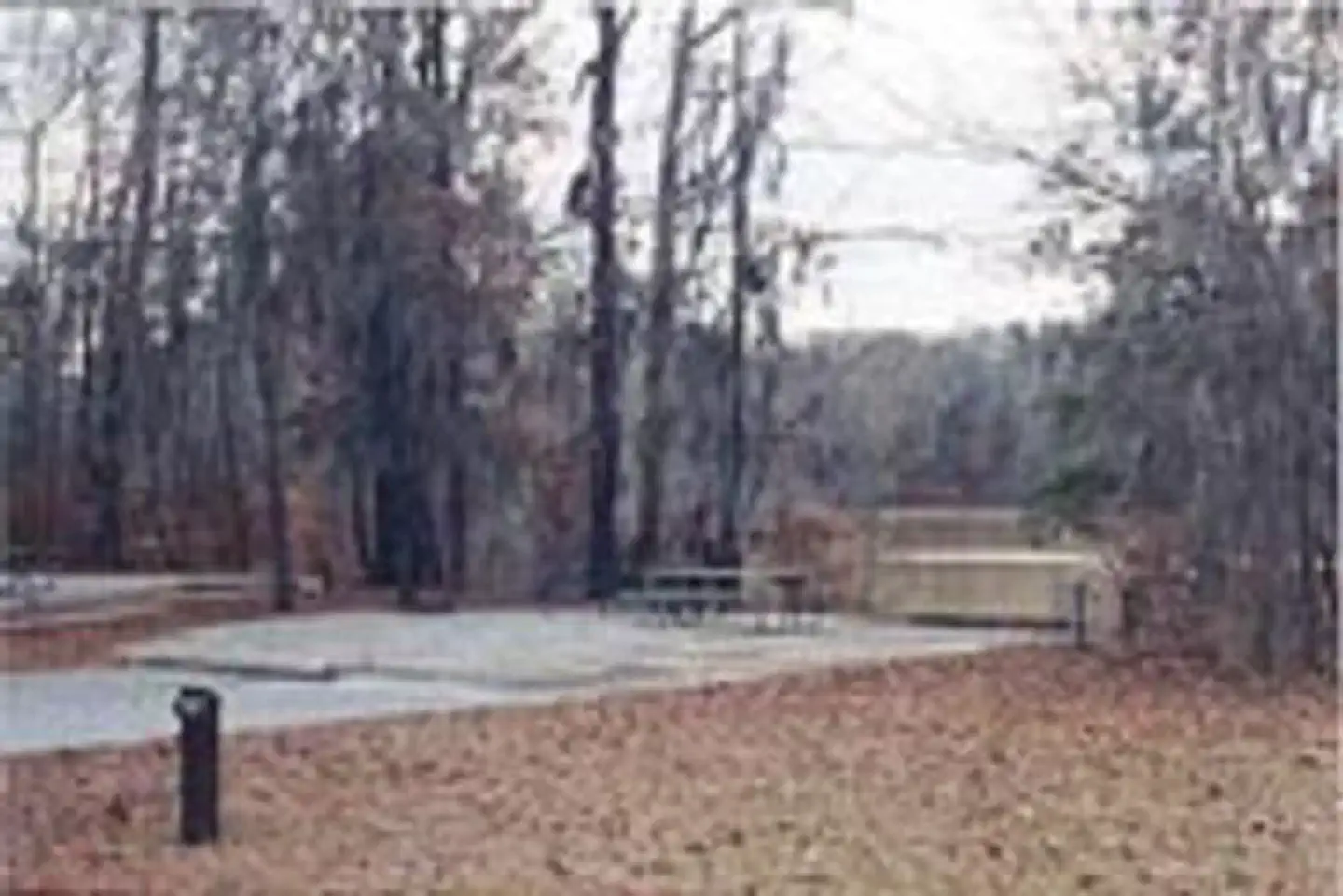 Bluff Creek — BLUFF CREEK