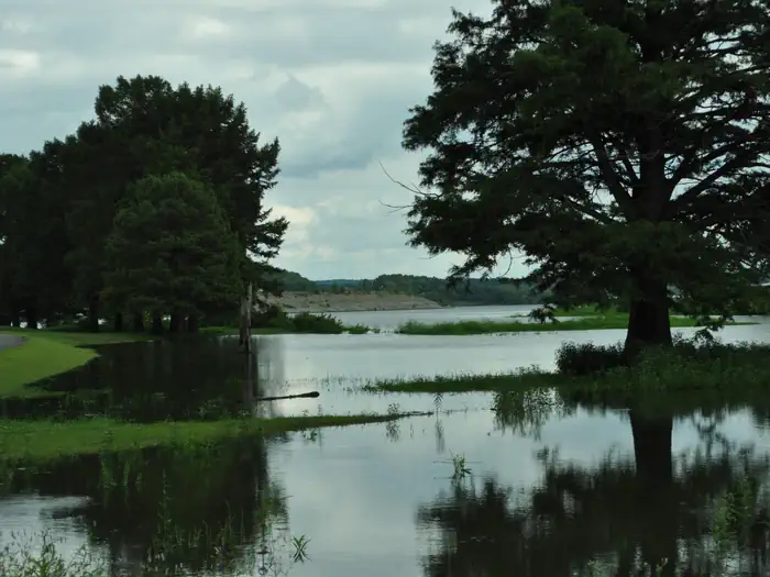 COE Taylor Ferry — Taylor Ferry
