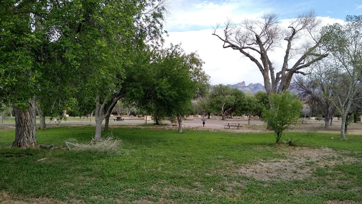 Rio Grande Village Group Campground