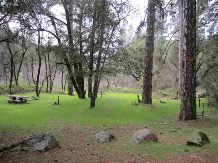 Fiddle Creek — Campsites 13 & 14