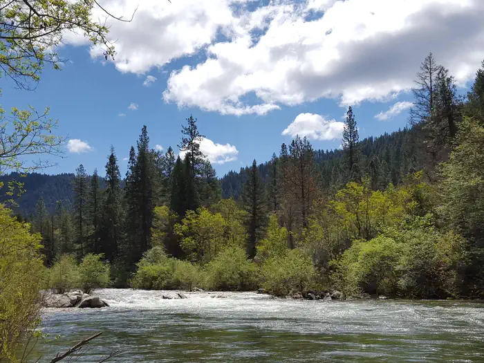 Fiddle Creek — North Fork Yuba River