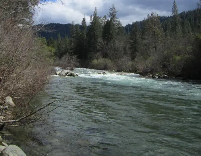 Fiddle Creek — Fiddle Creek Campground View