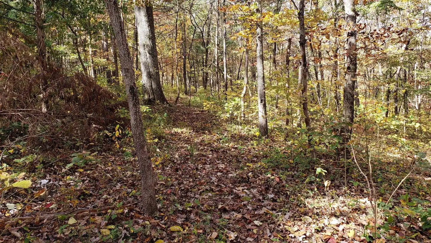 Pulltite Campground