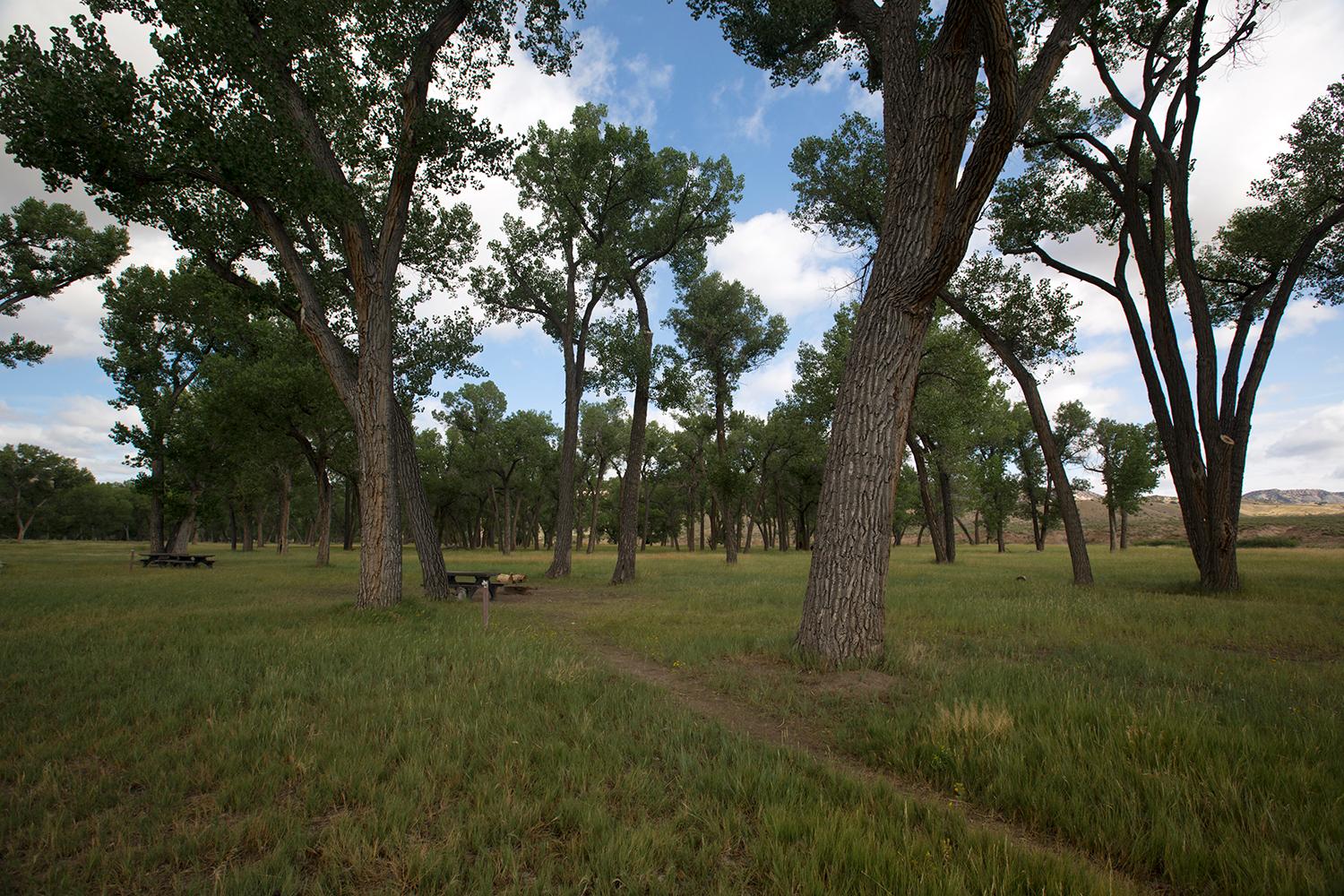 Deerlodge Park Campground — Campsite at Deerlodge Park Campground