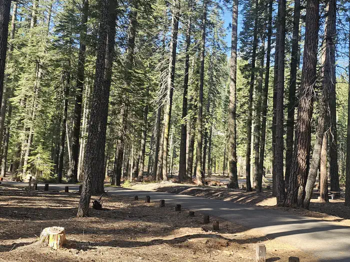 Gurnsey Creek — Gurnsey Creek Group Campground