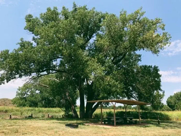 Plum Creek Campgrounds