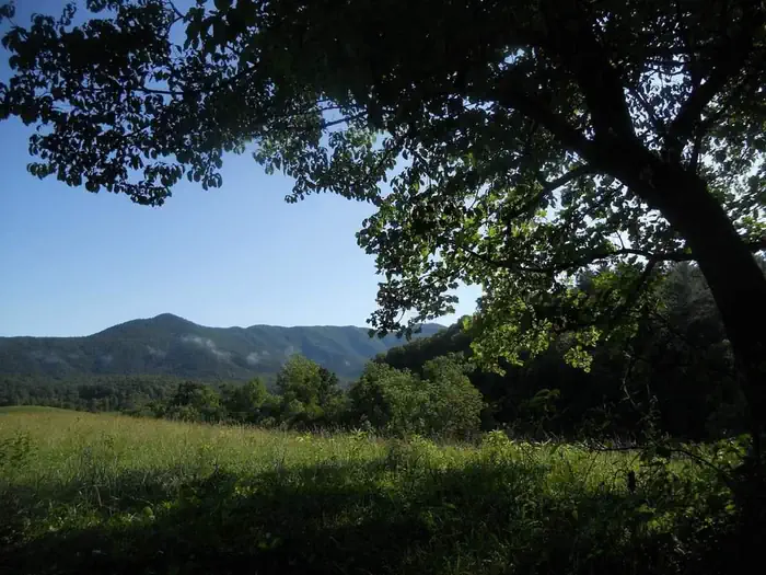 Round Bottom Horse Camp — Mountains stand in the background under green branches