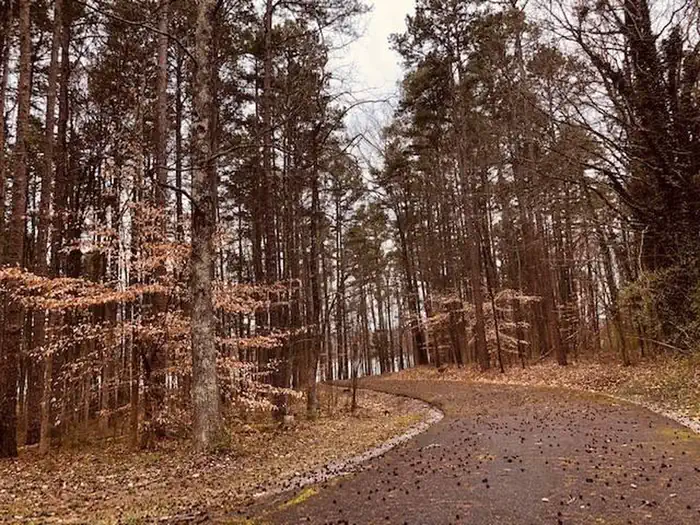Buffalo Park — Buffalo Park