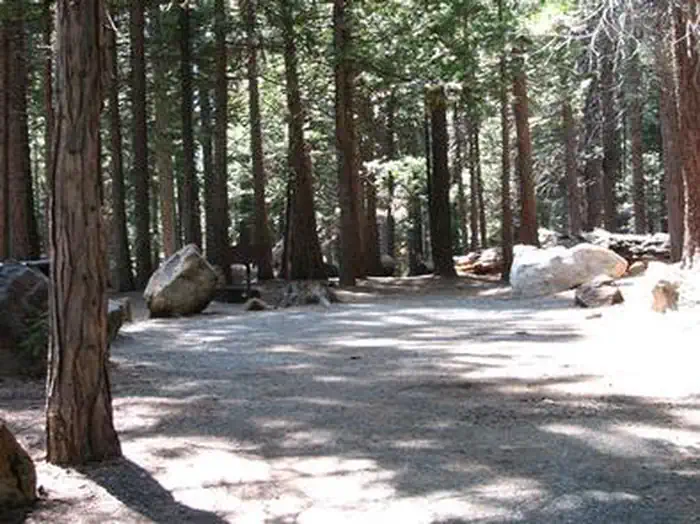 Wench Creek — WENCH CREEK