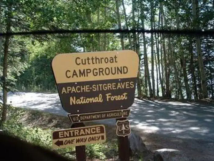 Cutthroat — CUTTHROAT